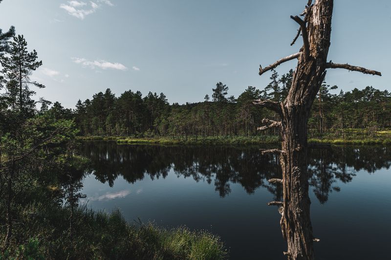 Schweden schweden-14