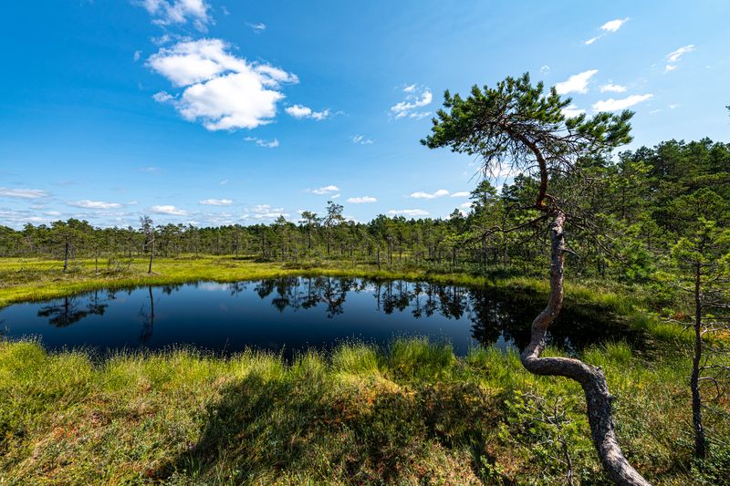 Schweden schweden-17