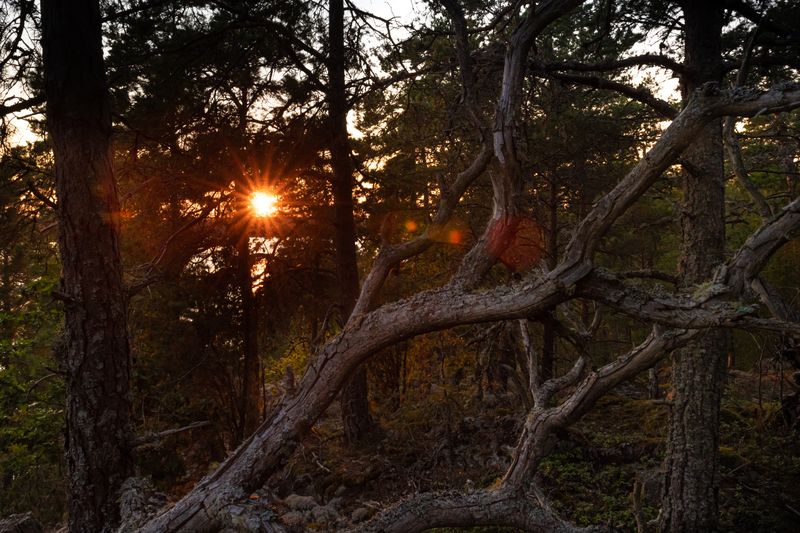 Schweden schweden-20