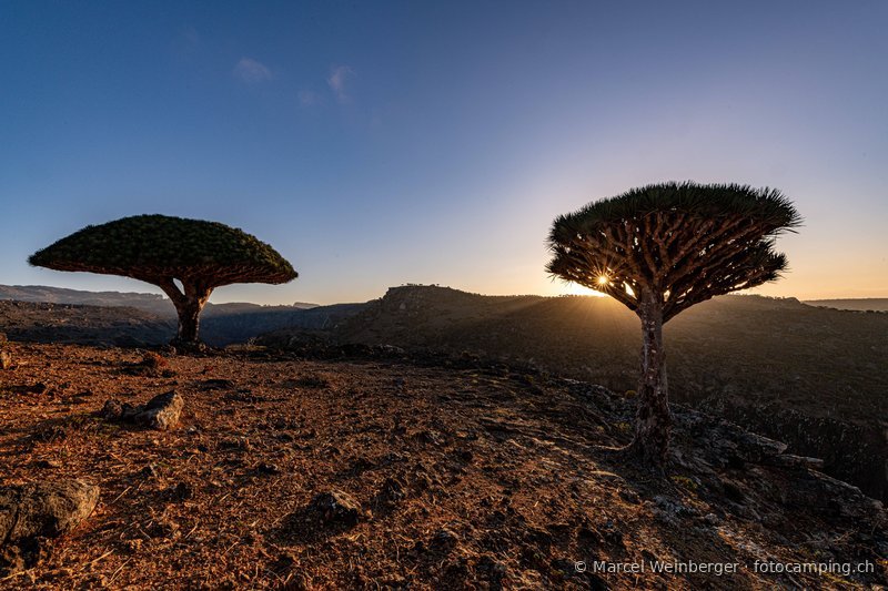 Socotra socotra-jemen-03